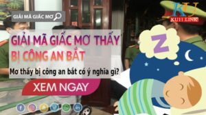 mo bi cong an bat anh dai dien