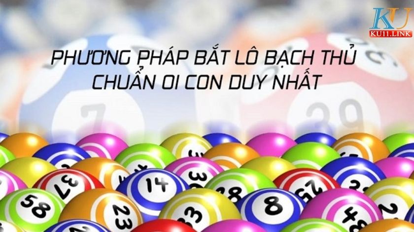 bạch thủ lô là gì