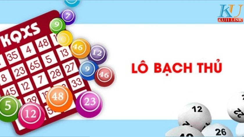 bạch thủ lô là gì