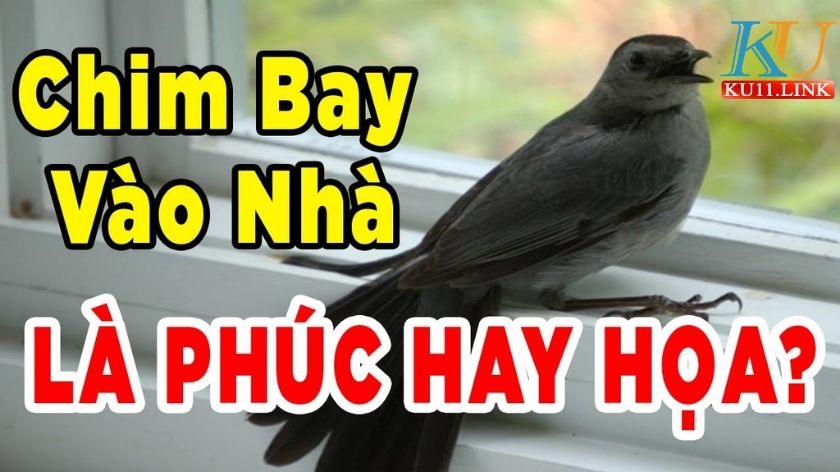 Mơ thấy chim bay vào nhà