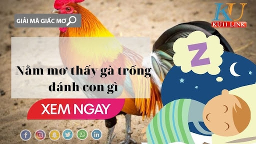 mơ thấy gà trống