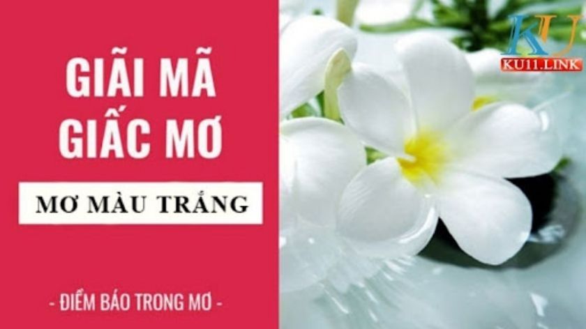 Mơ thấy hoa màu trắng