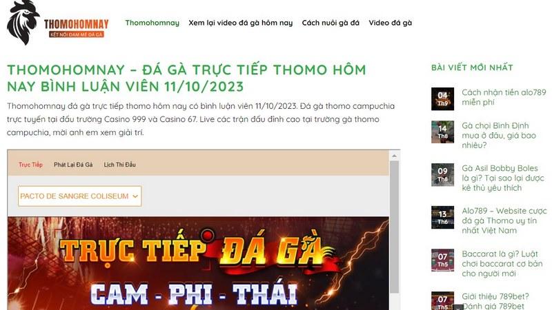 Xem trực tiếp đá gà và tham gia cá cược dễ dàng 