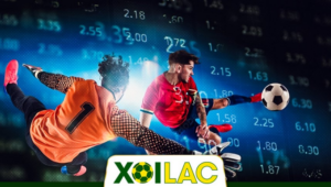 Những tính năng đặc biệt của Livescore tại Xoilac TV