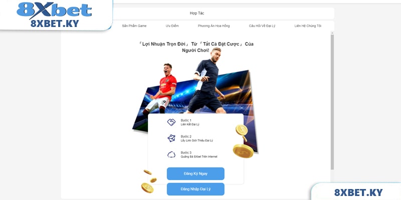 Hoa hồng siêu cao chỉ có tại đại lý 8xbet