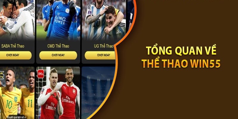 Thể thao là trò chơi nổi tiếng tại kho game WIN55