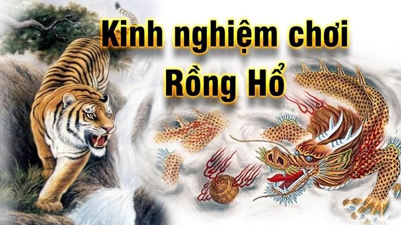 rồng hổ