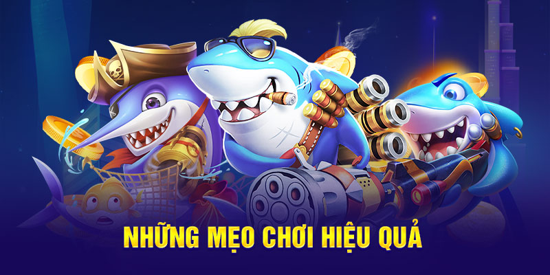 Những mẹo chơi hiệu quả